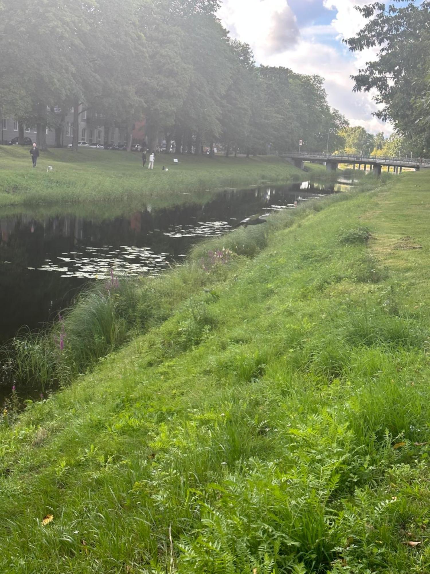Pramkanalens Pensionat I Karlstad Exterior foto